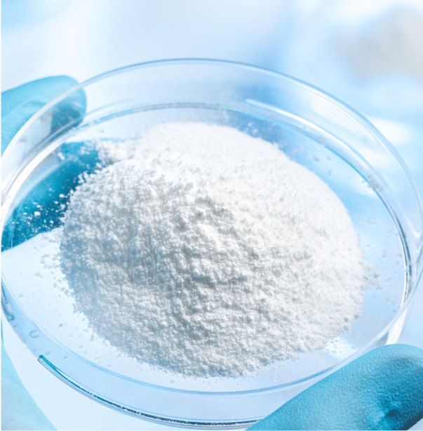 Pharmaceutical Lactose